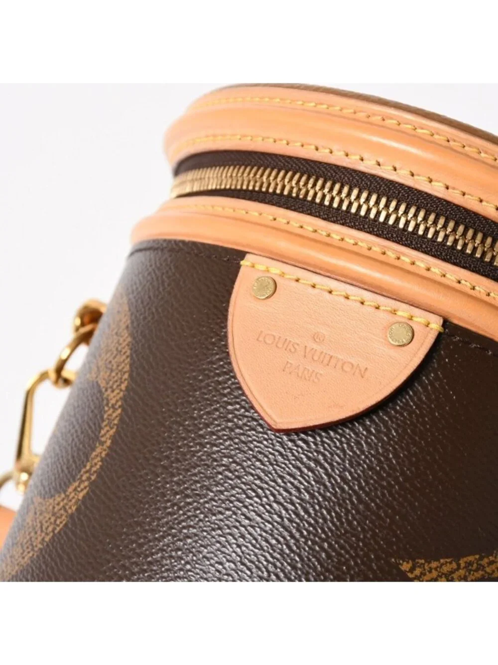Louis Vuitton Cannes Vanity Monogram Giant Brown Reverse Shoulder Bag